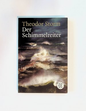 gebrauchtes Buch – Theodor Storm – Der Schimmelreiter