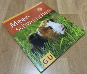 Meerschweinchen