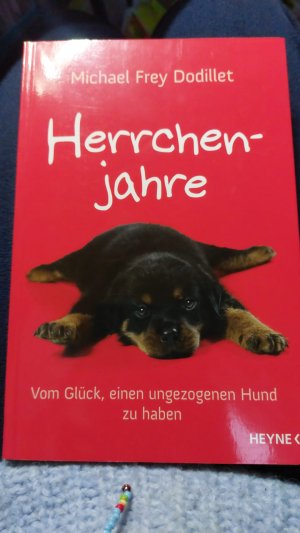 gebrauchtes Buch – Michael Frey Dodillet – HERRCHENJAHRE