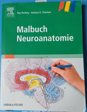 Malbuch Neuroanatomie