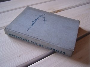Im Eis vergraben - Erlebnisse auf Station "Eismitte" der letzten Grönland-Expedition Alfred Wegeners 1930-1031