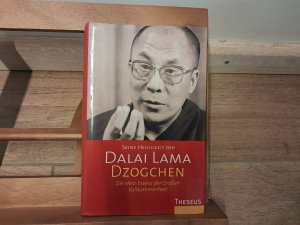 gebrauchtes Buch – Dalai Lama XIV – Dzogchen – Die Herz-Essenz der Grossen Vollkommenheit     ### GEPFLEGTES EXEMPLAR ###