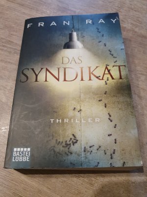 gebrauchtes Buch – Fran Ray – Das Syndikat – Thriller