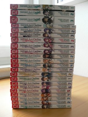 Sword Art Online 22 Mangas