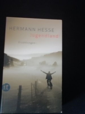 gebrauchtes Buch – Hermann Hesse – Jugendland – Erzählungen