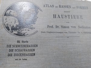 Atlas der Rassen und Formen unserer Haustiere, III. Serie -Die Schweinerassen- Schafrassen -Ziegenrassen