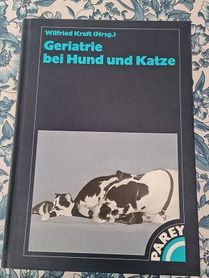 Geriatrie bei Hund und Katze