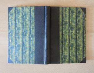 Der Wille zum Glauben und andere popularphilosophische Essays. Ins Dt. übertr. von Th. Lorenz. Mit einem Geleitw. von Fr. Paulsen. [Deutsche Erstausgabe […]