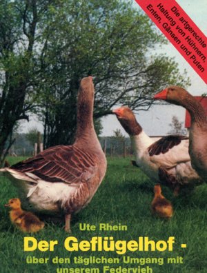 gebrauchte Buecher