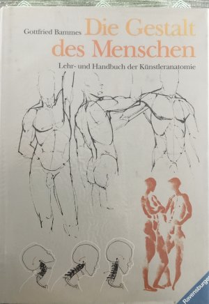 Die Gestalt des Menschen – Lehr- und Handbuch der Künstleranatomie