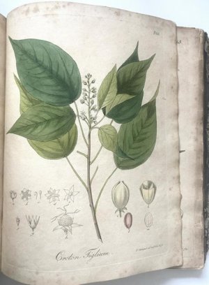 Abbildung und Beschreibung aller in der Pharmacopoea Borussica aufgeführten Gewaechse. 3. Band (von 3). Mit 108 illuminierten Kupfern.