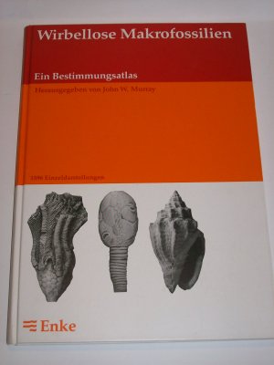Wirbellose Makrofossilien – Ein Bestimmungsatlas. 1596 Einzeldarstellungen