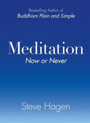 neues Buch – Steve Hagen – Meditation Now or Never