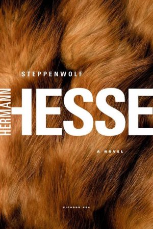 neues Buch – Hermann Hesse – Steppenwolf