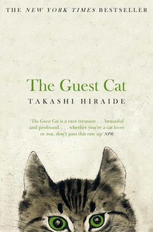 neues Buch – Takashi Hiraide – The Guest Cat