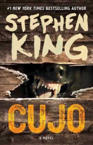 neues Buch – Stephen King – Cujo