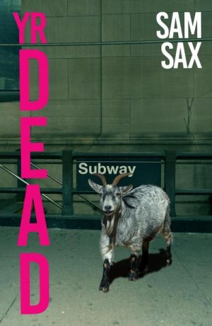 neues Buch – Sam Sax – Yr Dead neues Buch – Sam Sax – Yr Dead