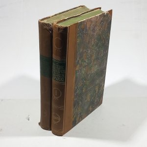 Deutscher Liberalismus im Zeitalter Bismarcks : eine politische Briefsammlung ; 2 Bde. Bd. 1., Die Sturmjahre der preußisch-deutschen Einigung 1859-1870 […]