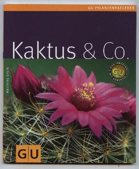 gebrauchtes Buch – Matthias Uhlig – Kaktus & Co.