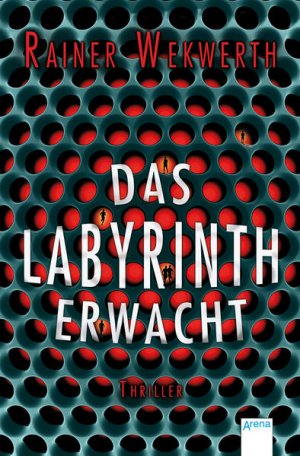 gebrauchtes Buch – Rainer Wekwerth – Das Labyrinth erwacht - FG 1720 - 428g