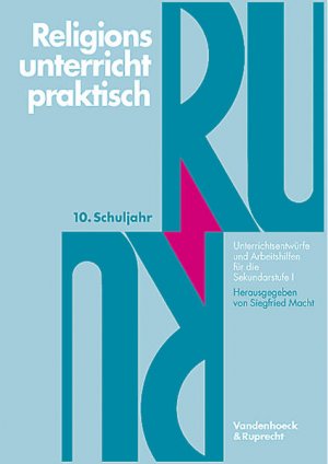 Religionsunterricht praktisch, 5.-10. Schuljahr, 10. Schuljahr: Unterrichtsentwürfe und Arbeitshilfen für die Sekundarstufe I (Schriften Des Erich Maria Remarque-archivs) - RB 3253-472g