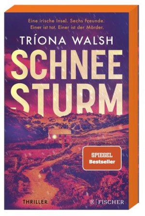 gebrauchtes Buch – Walsh, Triona und Birgit Schmitz – Schneesturm: Thriller | Kein Entkommen von der eisigen Insel. Mit limitiertem Farbschnitt