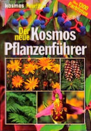 gebrauchtes Buch – Stichmann, Wilfried – Der Kosmos Pflanzenführer