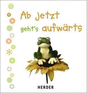 gebrauchtes Buch – Fabian Bergmann – Ab jetzt geht's aufwärts