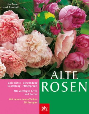 gebrauchtes Buch – Bauer, Ute und Ursel Borstell – Alte Rosen: Alle wichtigen Arten und Sorten im Porträt. Geschichte · Verwendung und Gestaltung · Pflegepraxis. Mit neuen romantischen Züchtungen