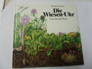 Die Wiesen-Uhr Das Jahr der Wiese