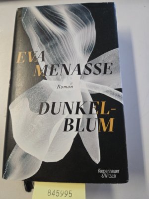 gebrauchtes Buch – Eva Menasse – Dunkelblum: Roman