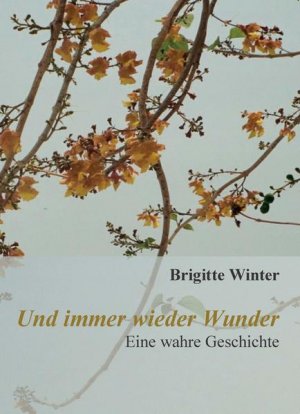 gebrauchtes Buch – Brigitte Winter – Und immer wieder Wunder: Eine wahre Geschichte