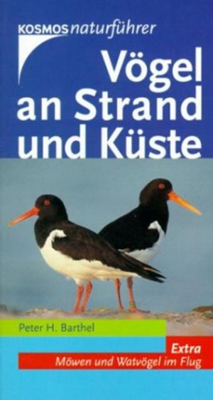 gebrauchtes Buch – Barthel Peter – Vögel an Strand und Küste gebrauchtes Buch – Barthel Peter – Vögel an Strand und Küste