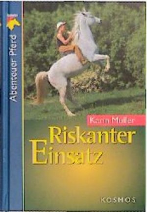 gebrauchtes Buch – Karin Müller – Riskanter Einsatz