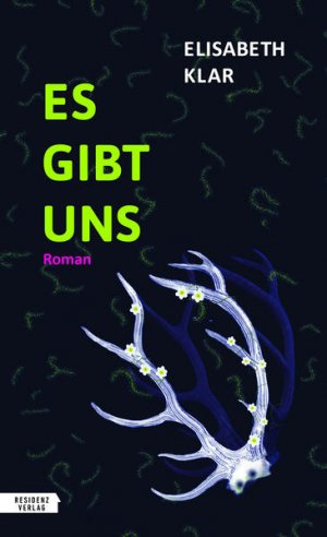 gebrauchtes Buch – Elisabeth Klar – Es gibt uns. Roman.