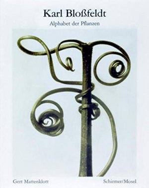 gebrauchtes Buch – Blossfeldt, Karl und Gert Mattenklott – Alphabet der Pflanzen.