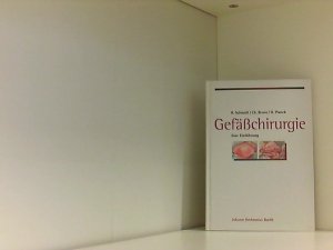 gebrauchtes Buch – Schmidt, Rainer – Gefäßchirurgie: Eine Einführung