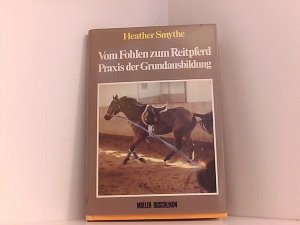 Vom Fohlen zum Reitpferd