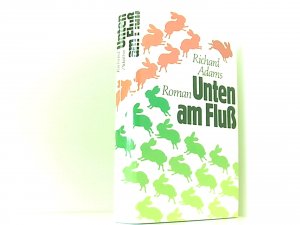 Unten am Fluß. Roman