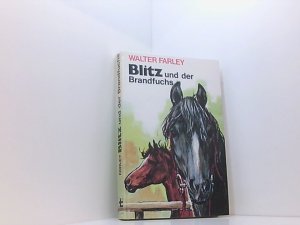 Blitz und der Brandfuchs - Ab 9 Jahre