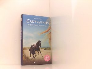 gebrauchtes Buch – Lea Schmidbauer – Ostwind - Auf der Suche nach Morgen Lea Schmidbauer