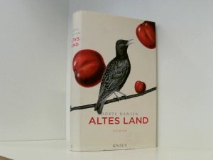 gebrauchtes Buch – Dörte Hansen – Altes Land: Roman