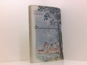 Indianersommer. Eine Geschichte für Neun- bis Vierzehnfährige und Vierzig- bis Neunzigjährige