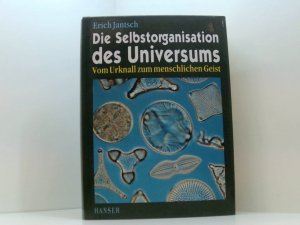 Die Selbstorganisation des Universums: Vom Urknall zum menschlichen Geist vom Urknall zum menschlichen Geist