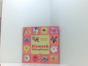 gebrauchtes Buch – Naturführer für Kids - Blumen und Blütenpflanzen [Text: Gudrun Hoffmann ; Michaela Altorjay. Ill.: Laura Bayless]