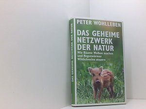 gebrauchtes Buch – Peter Wohlleben – Das geheime Netzwerk der Natur: Wie Bäume Wolken machen und Regenwürmer Wildschweine steuern wie Bäume Wolken machen und Regenwürmer Wildschweine steuern