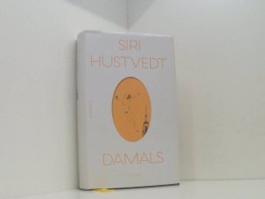 gebrauchtes Buch – Hustvedt, Siri – Damals Roman