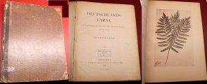 Deutschlands Farne mit Berücksichtigung der angrenzenden Gebiete Oesterreichs, Frankreichs und der Schweiz