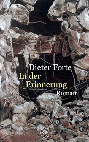 gebrauchtes Buch – Dieter Forte – In der Erinnerung: Roman gebrauchtes Buch – Dieter Forte – In der Erinnerung: Roman