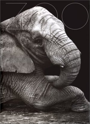 gebrauchtes Buch – Gary Heery – Zoo. [German transl.: Franca Fritz. French transl.: Christian Diebold]